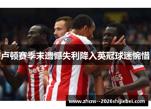 卢顿赛季末遗憾失利降入英冠球迷惋惜 卢顿赛季末遗憾失利降入英冠球迷惋惜